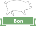 Bon Tamales USA